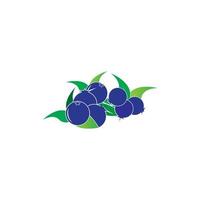 Blueberry logo vector template icon