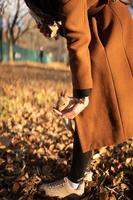 A mischievous squirrel eating nuts right from a girl's hands photo