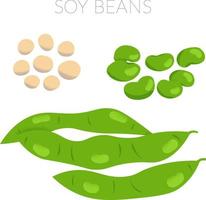 Vector illustration of dried soy beans edamame premature beans and beans in a pods