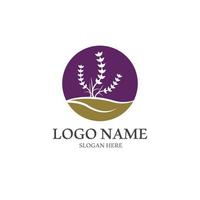 Fresh Lavender flower logo vector