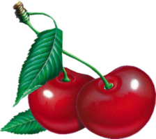Red cherry with leaf on a transparent background png
