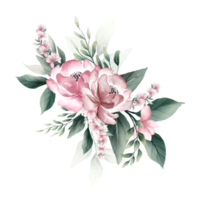 bouquet de fleurs aquarelles roses png