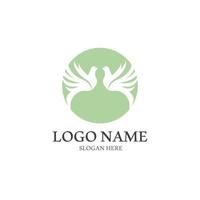 Dove bird logo vector design