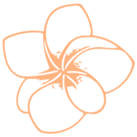 arte de linha de flores png