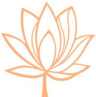 Flowers Line Art png