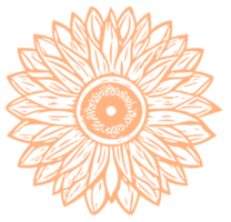 Flowers Line Art png