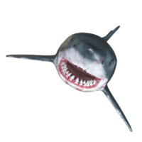 requin prédateur isolé 3d rendre png