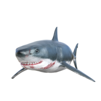 tiburón depredador aislado 3d hacer png