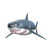 requin prédateur isolé 3d rendre png