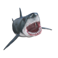 Tubarão predador isolado 3d render png