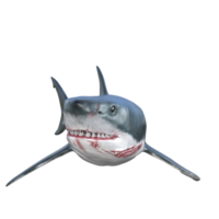 tiburón depredador aislado 3d hacer png