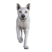 3d Cool dog isolated 3d render png