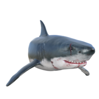 Tubarão predador isolado 3d render png