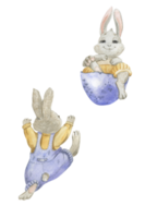 Illustration of a rabbit in an eggshell climbing in shorts and a shirt png