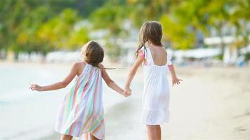 adorabile poco ragazze a piedi su il spiaggia e avendo divertimento insieme video
