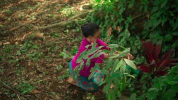 A beautiful Asian woman does a dancing ritual while wearing a pink dress and makeup in front of the big tree full of green bushes inside the village video