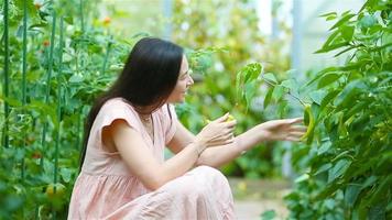 jovem mulher com cesta de hortaliças e legumes na estufa. tempo de colheita video