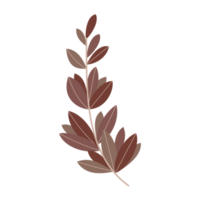 brun löv element png