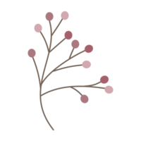 cherry tree branch element png