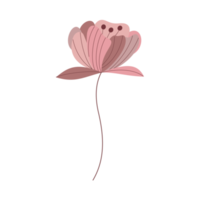 poppy flower in vintage illustration png