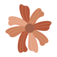 orange flower isolated png