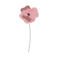 luxury pink poppy flower png