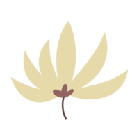 illustration of a flower png