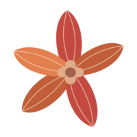 ilustración de una flor png