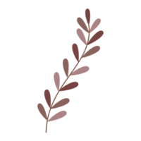 illustration of an wedding leaf element png