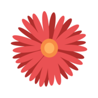 rot Gänseblümchen Blume Element png