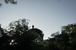 The morning sun illuminates a tree house in Batang Regency, Central Java, Indonesia. photo