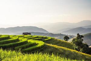 paisaje de terraza de arroz en ban pa bong piang en chiang mai tailandia foto