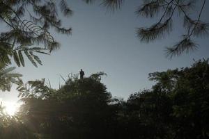 The morning sun illuminates a tree house in Batang Regency, Central Java, Indonesia. photo