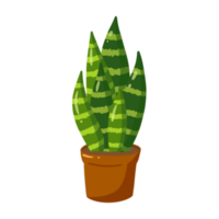 plante d'intérieur en pot png