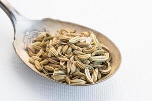 Fennel Seeds on a Spoon photo