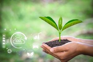 Trees grow in human hands. Hand planting trees with technology of renewable resources to reduce pollution ESG icon concept in hand for environmental, social and sustainable business governance. photo