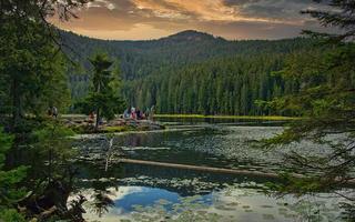 arbersee en el bosque bávaro, alemania, 2020 foto