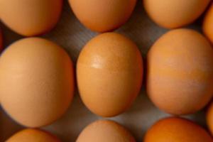 primer plano de huevos de gallina en un hermoso stand, huevos saludables. comida sana. foto