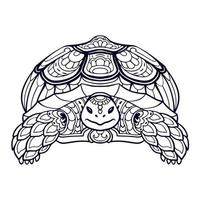 bellas artes de mandala de tortuga. aislado sobre fondo blanco. vector