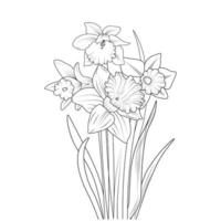 Isolated daffodil flower hand drawn vector sketch illustration, botanic collection branch of leaf buds natural collection coloring page floral bouquets engraved ink art.