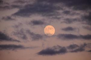 View of the moon photo