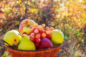 Eating fresh fruits and vegetables in a basket on the seat rest, leisure parks. photo