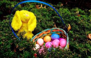 coloridos huevos de pascua en el nido en la pradera foto