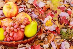 Vintage still life with apples, grapes and pears photo