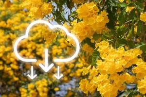 Clean environment without carbon dioxide emissions. Modern eco environmentally technologies that do not produce CO2 emissions. Nature background. photo