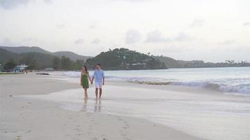 jovem casal na praia tropical video