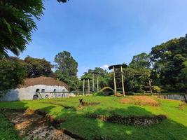 Landscape architecture of orangutan enclosure at the Ragunan Zoo, Jakarta. photo