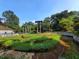 Landscape architecture of orangutan enclosure at the Ragunan Zoo, Jakarta. photo