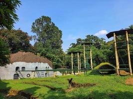 Landscape architecture of orangutan enclosure at the Ragunan Zoo, Jakarta. photo