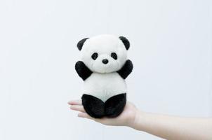 mano sosteniendo muñeca panda, borde negro de ojos, juguete panda sobre fondo blanco foto